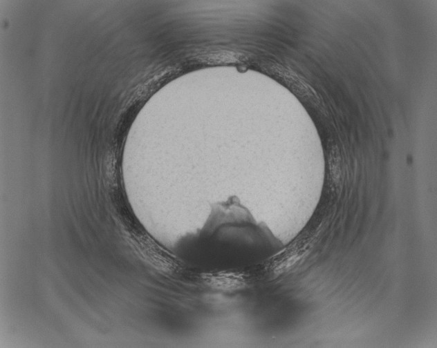 X0000066510359200604071533