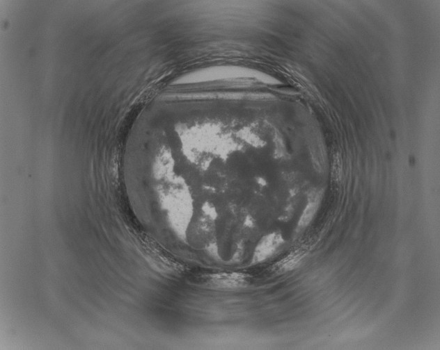 X0000066510363200604071533