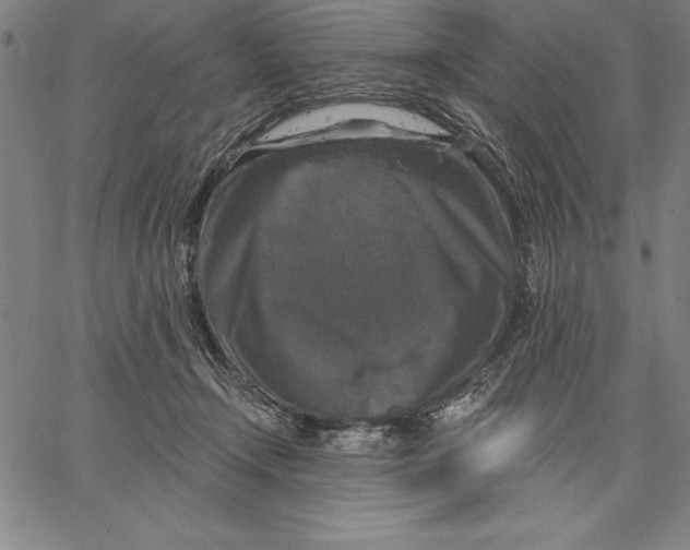 X0000066510366200604071533