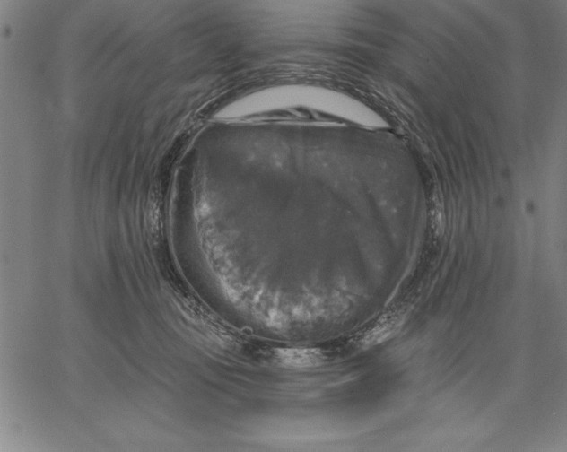 X0000066510371200604071533