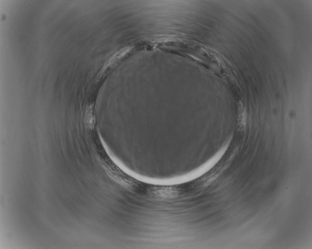 X0000066510383200604071533