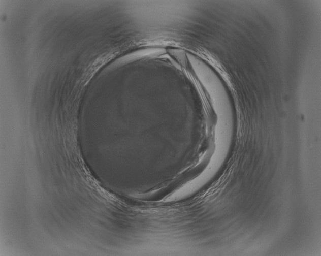 X0000066510385200604071532