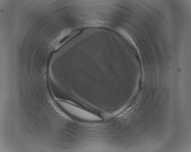 X0000066510389200604071532