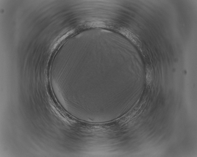 X0000066510390200604071532