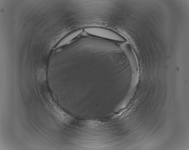 X0000066510393200604071532