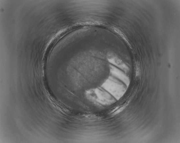 X0000066510395200604071532