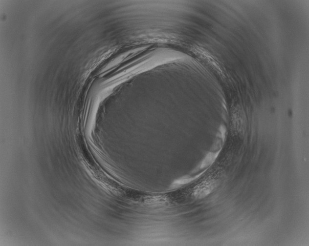 X0000066510398200604071532