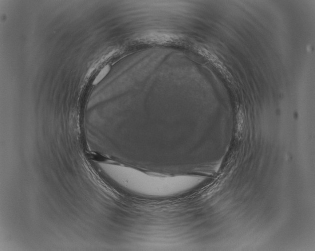X0000066510399200604071532