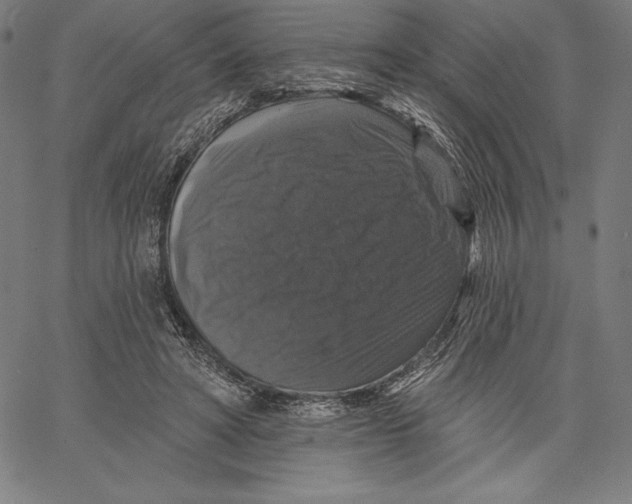 X0000066510402200604071532