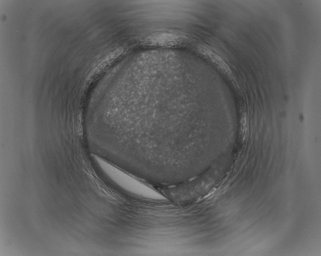 X0000066510403200604071532