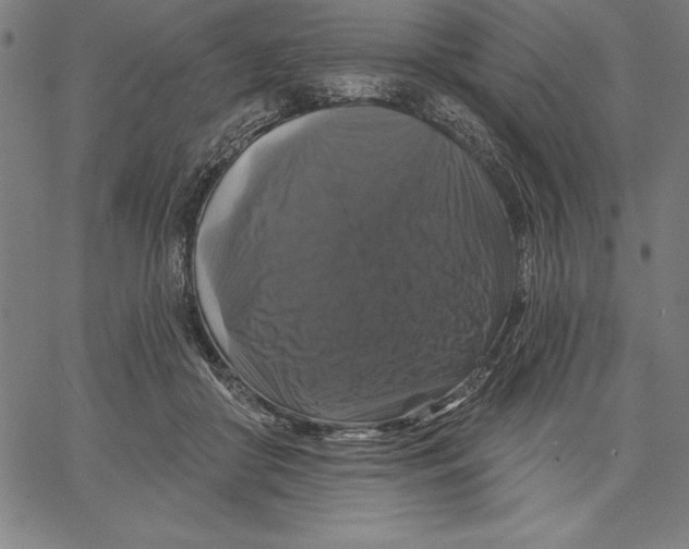 X0000066510410200604071532