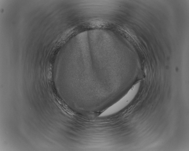 X0000066510413200604071532