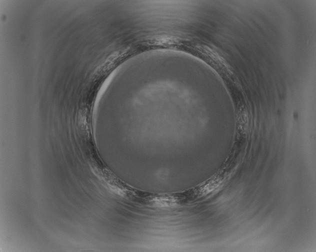 X0000066510415200604071532