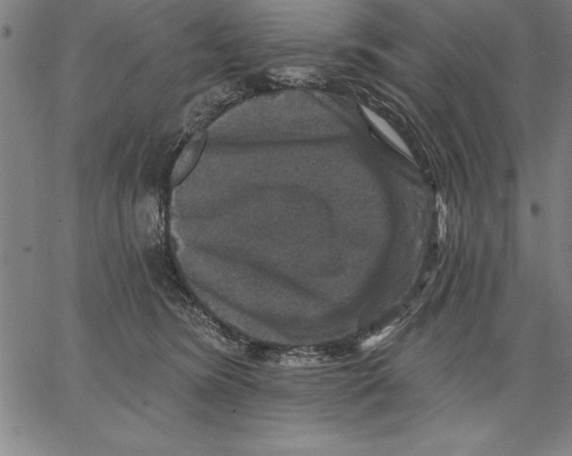 X0000066510420200604071532