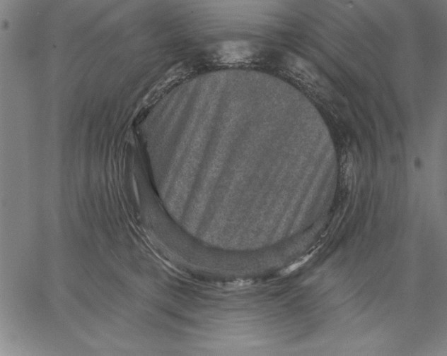 X0000066510421200604071532