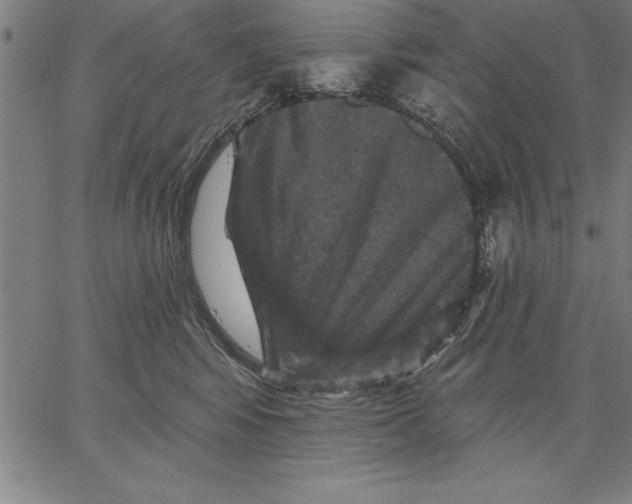 X0000066510424200604071532