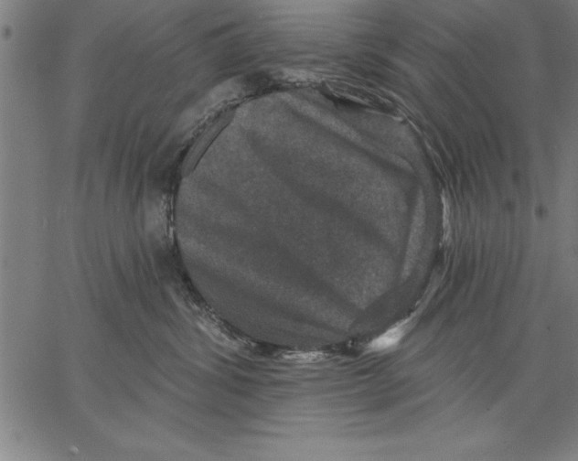 X0000066510428200604071532