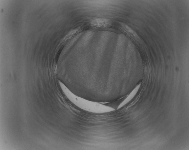 X0000066510429200604071532