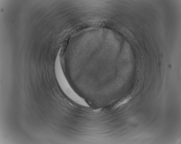 X0000066510432200604071531