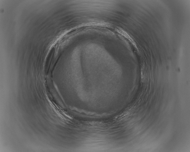 X0000066510436200604071531