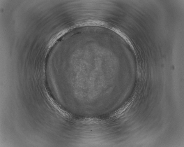 X0000066510437200604071531