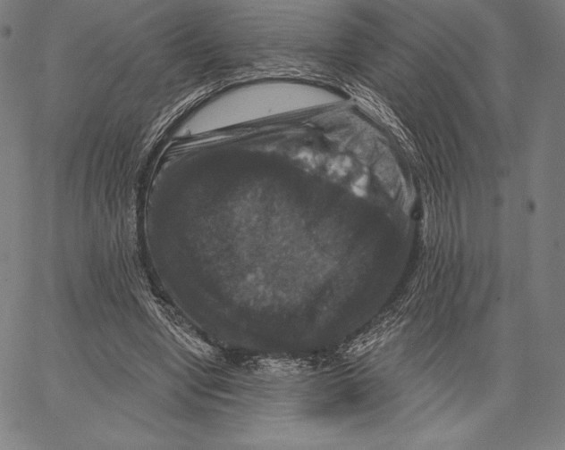 X0000066510442200604071531