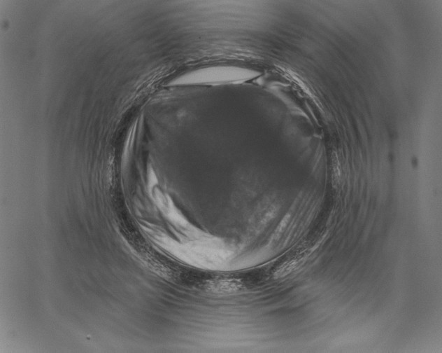 X0000066510451200604071531
