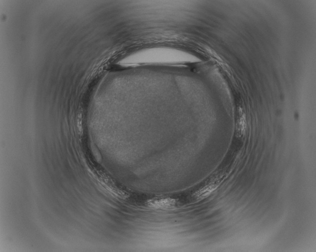 X0000066510452200604071531