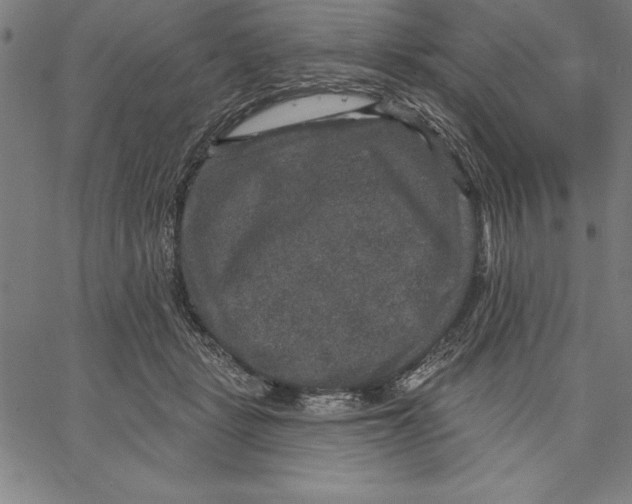 X0000066510461200604071531