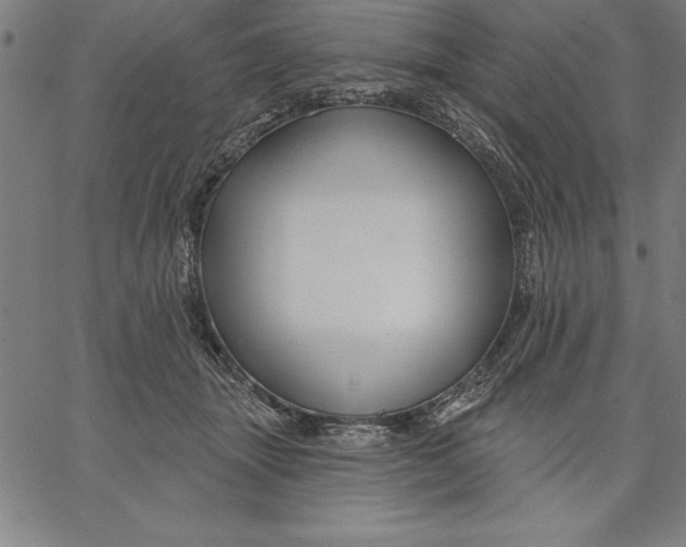 X0000066510463200604071531