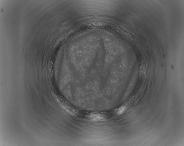 X0000066510464200604071531