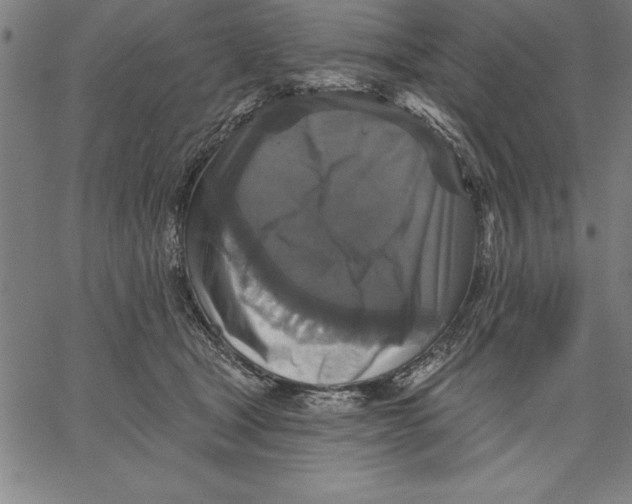 X0000066510465200604071531