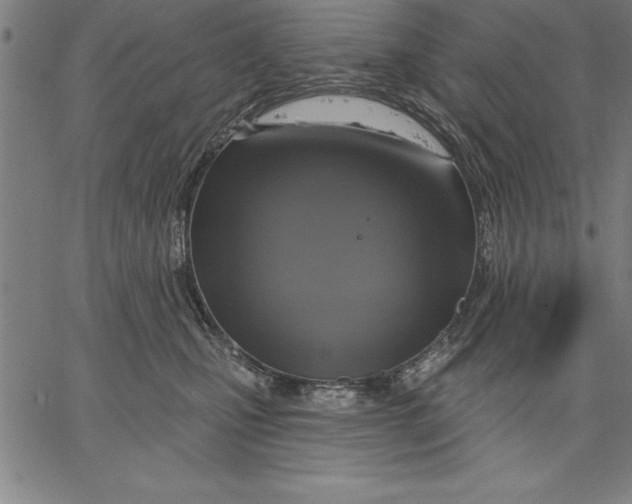X0000066510471200604071531