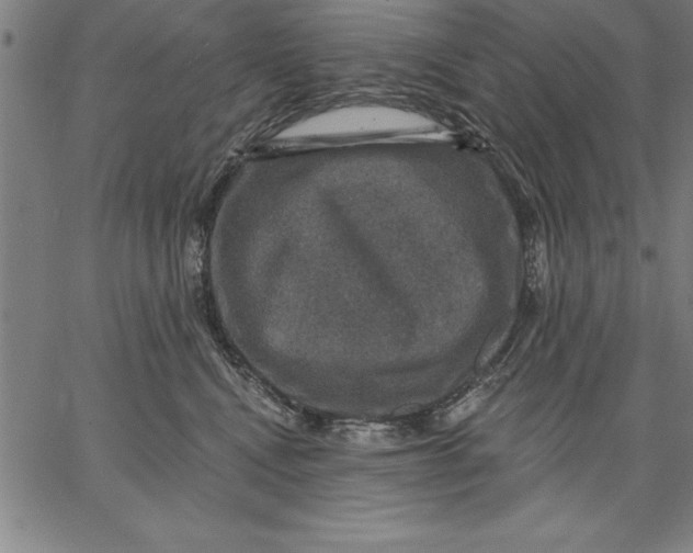 X0000066510472200604071531