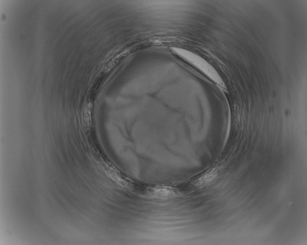 X0000066510475200604071531