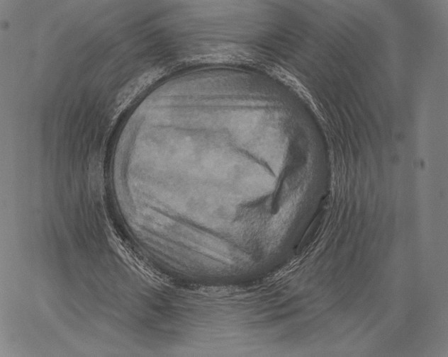 X0000066510482200604071531