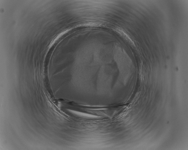 X0000066510484200604071531