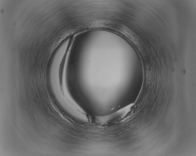 X0000066510485200604071531
