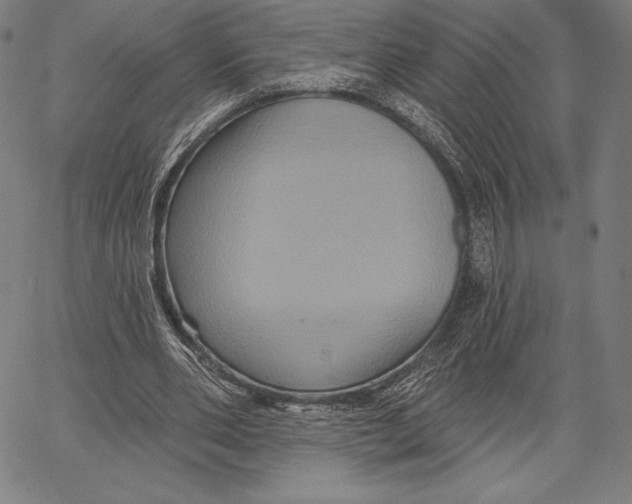 X0000066510486200604071531