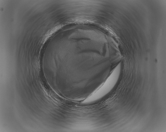 X0000066510488200604071531