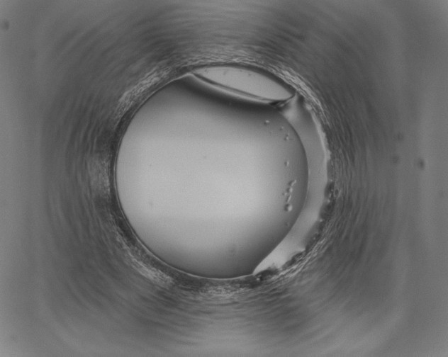 X0000066510489200604071531