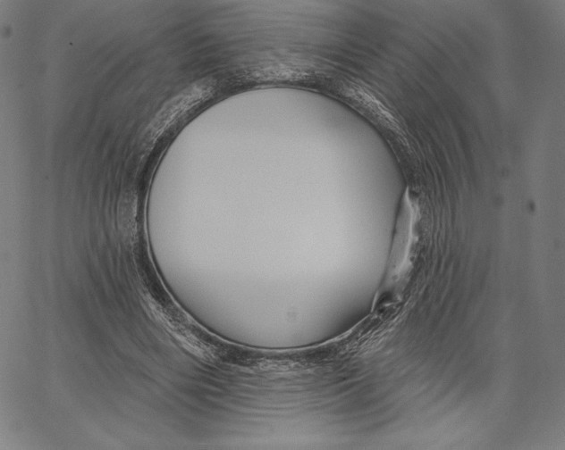 X0000066510490200604071531