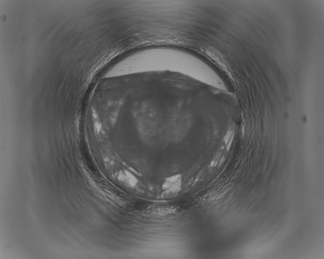 X0000066510491200604071531