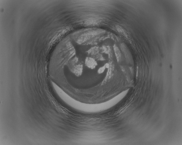 X0000066510495200604071530