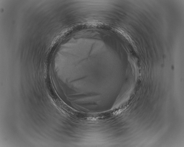 X0000066510496200604071530