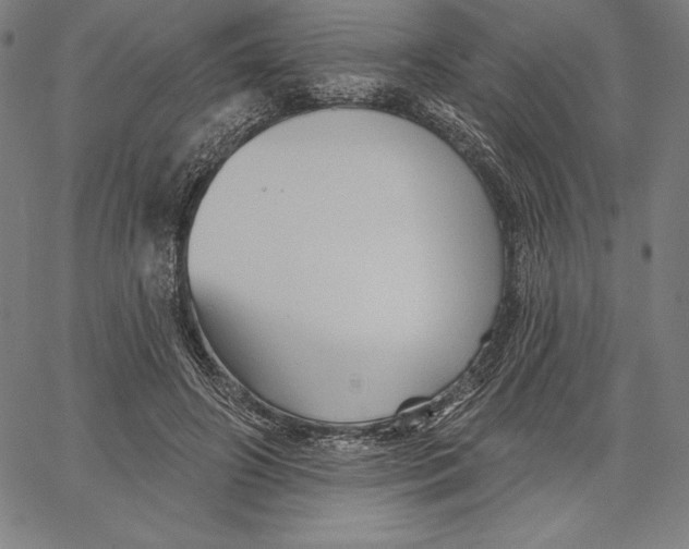 X0000066510498200604071530