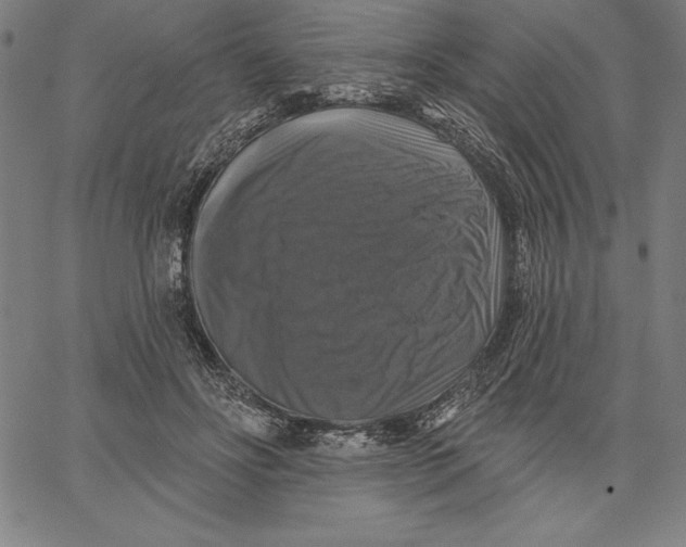 X0000066510502200604071530