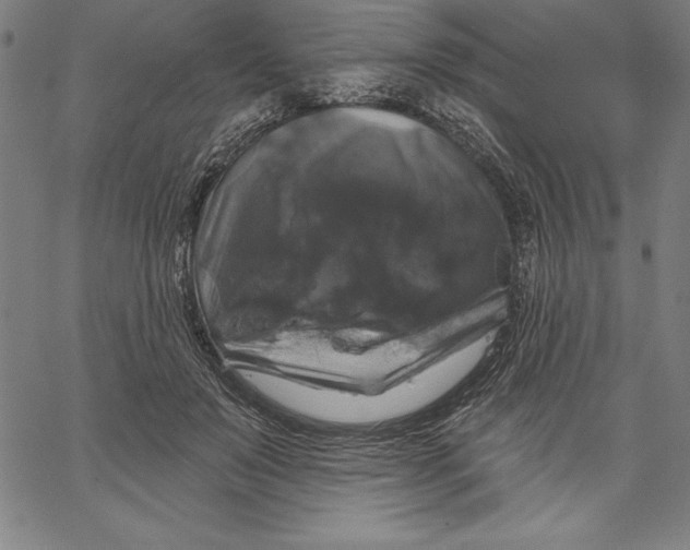 X0000066510503200604071530