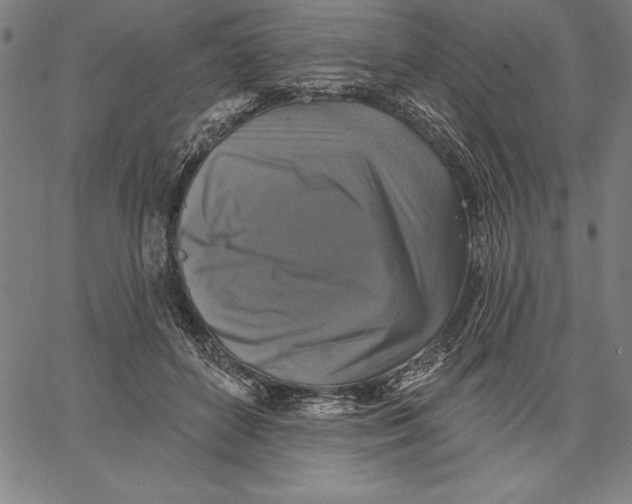 X0000066510504200604071530