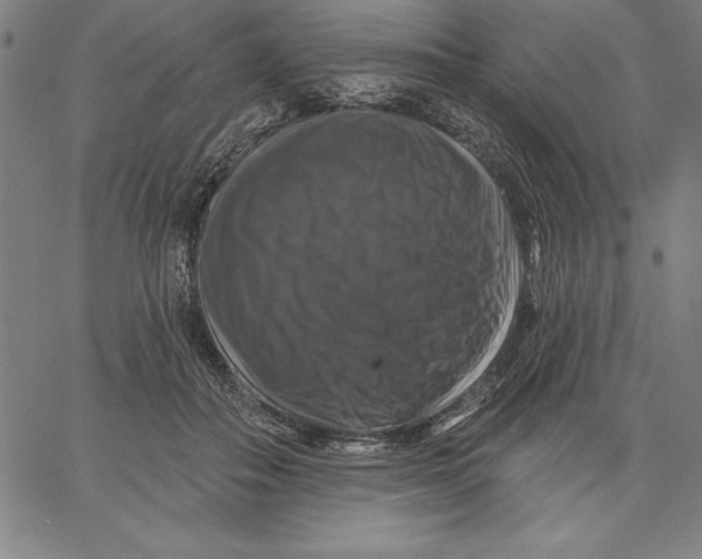X0000066510506200604071530